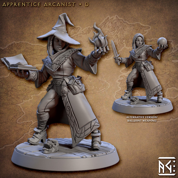 Apprentice Wizard Spellcaster Magic | Medium | Artisan Guild | D&D DnD Pathfinder Miniature