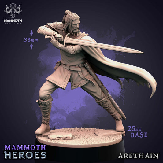 Warrior Swordsman Fighter Hero | Medium | Mammoth Factory | D&D DnD Pathfinder Miniature