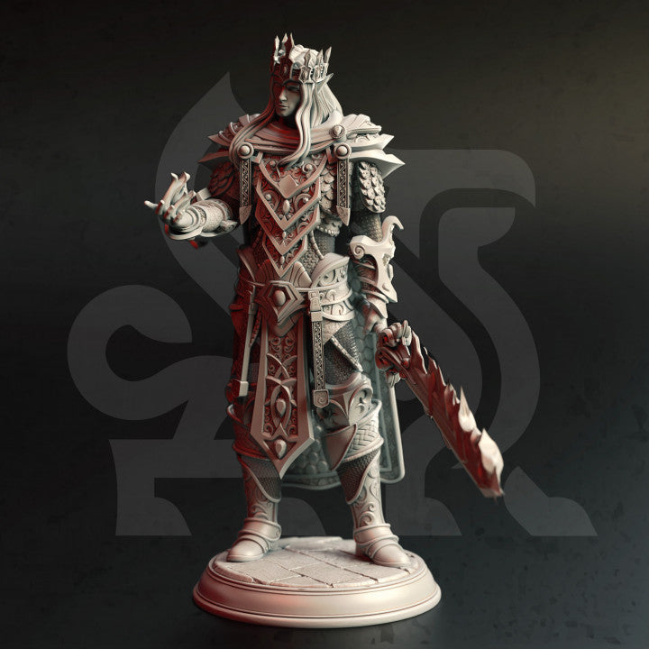 High Elf Wizard Warrior King Miniature | Medium | DM Stash | D&D DnD Pathfinder Miniature