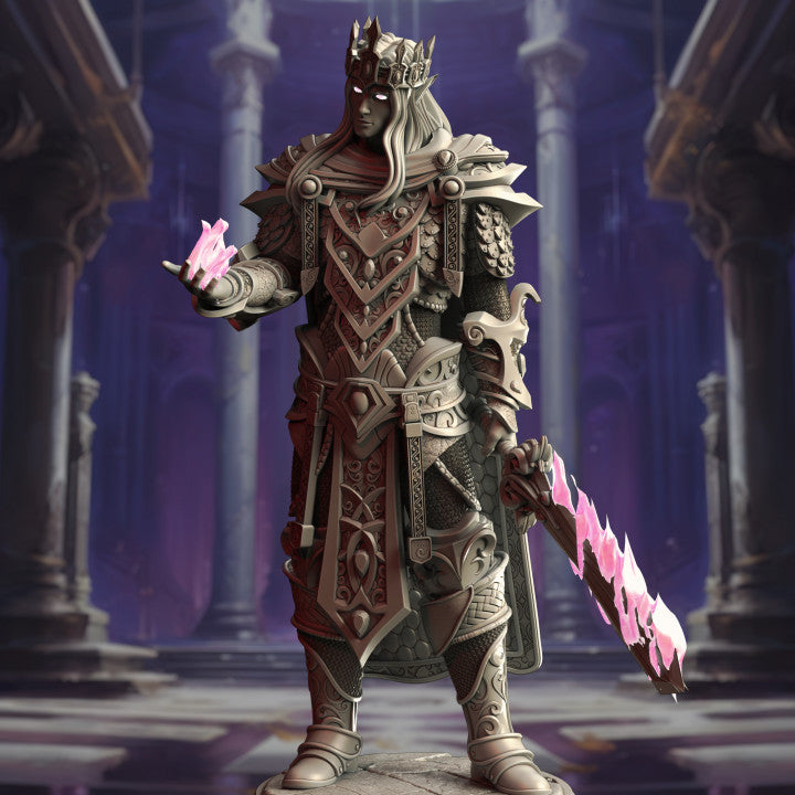 High Elf Wizard Warrior King Miniature | Medium | DM Stash | D&D DnD Pathfinder Miniature