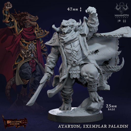 Dragonborn Paladin Warrior Miniature | Medium | Mammoth Factory | D&D DnD Pathfinder Miniature