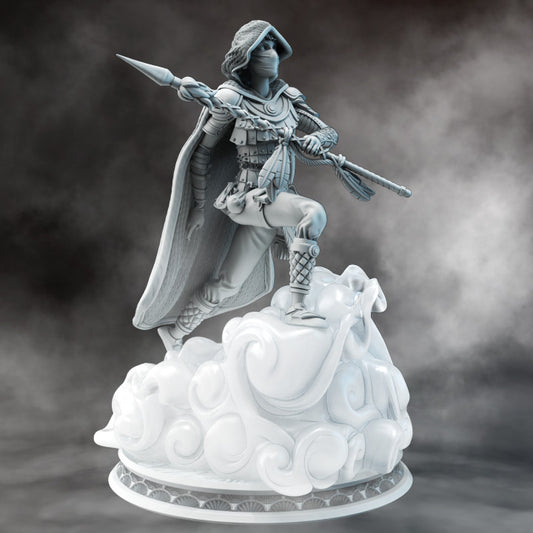 Air Genasi Rogue Monk | Medium | DM Stash | D&D DnD Pathfinder Miniature