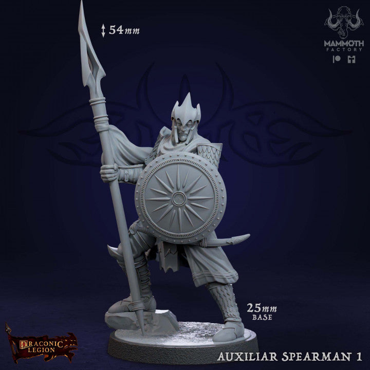 Human Spearman Fighter Soldier | Medium | Mammoth Factory | D&D DnD Pathfinder Miniature