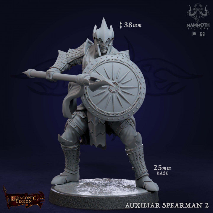 Human Spearman Fighter Soldier | Medium | Mammoth Factory | D&D DnD Pathfinder Miniature