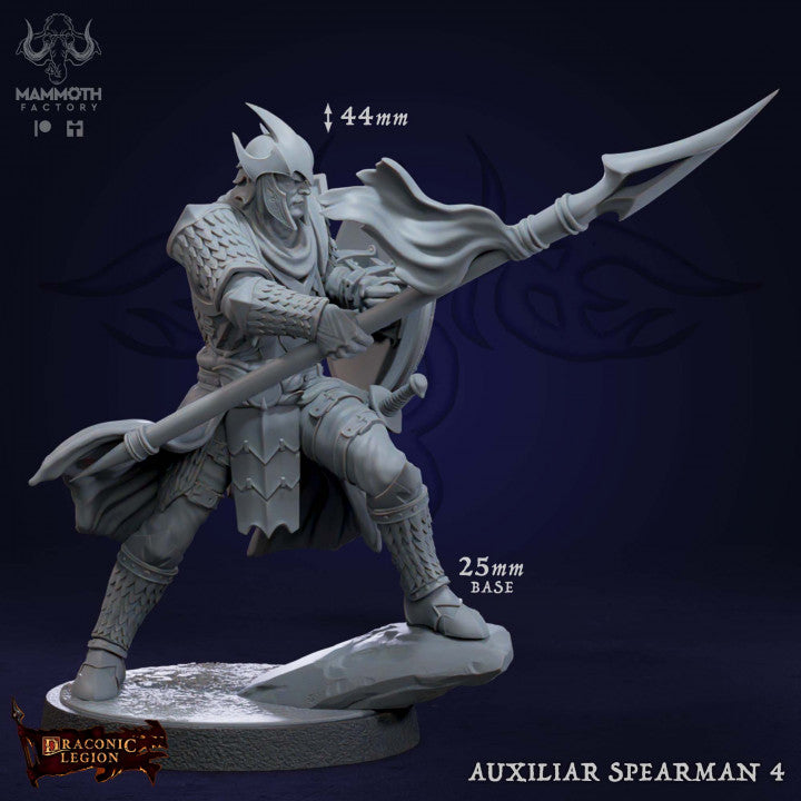 Human Spearman Fighter Soldier | Medium | Mammoth Factory | D&D DnD Pathfinder Miniature