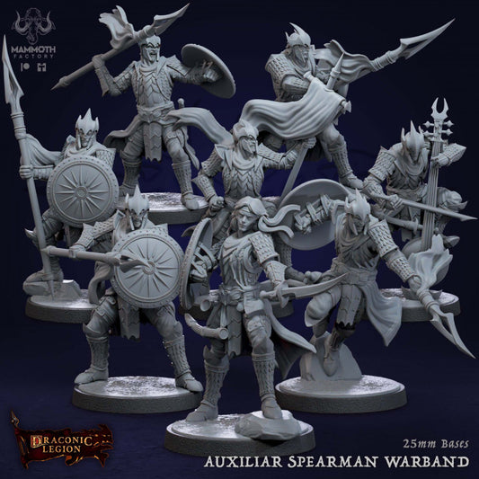 Human Spearman Fighter Soldier | Medium | Mammoth Factory | D&D DnD Pathfinder Miniature