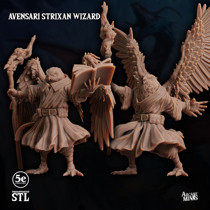 Birdfolk Wizard Spellcaster Miniature | Medium | Sordane Publishing | D&D DnD Pathfinder Miniature