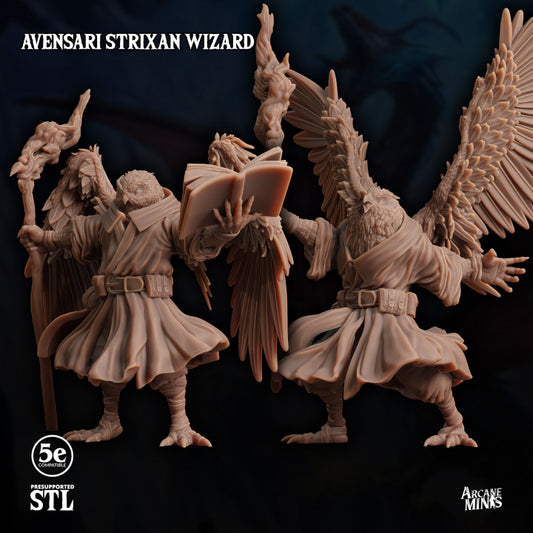 Birdfolk Wizard Spellcaster Miniature | Medium | Sordane Publishing | D&D DnD Pathfinder Miniature