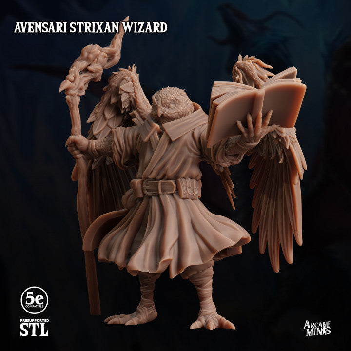 Birdfolk Wizard Spellcaster Miniature | Medium | Sordane Publishing | D&D DnD Pathfinder Miniature