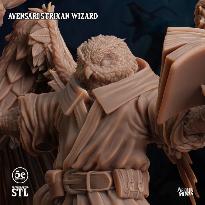 Birdfolk Wizard Spellcaster Miniature | Medium | Sordane Publishing | D&D DnD Pathfinder Miniature