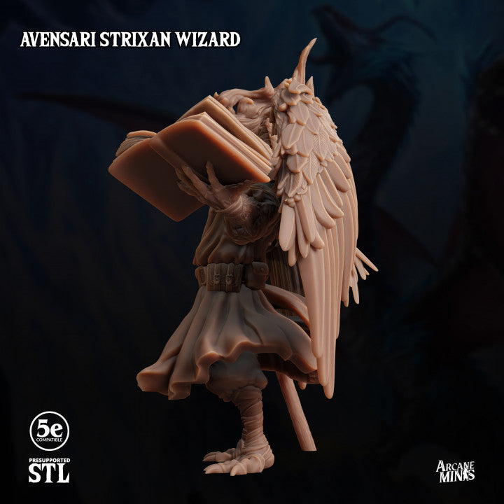 Birdfolk Wizard Spellcaster Miniature | Medium | Sordane Publishing | D&D DnD Pathfinder Miniature