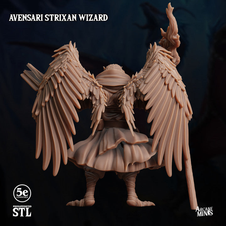 Birdfolk Wizard Spellcaster Miniature | Medium | Sordane Publishing | D&D DnD Pathfinder Miniature