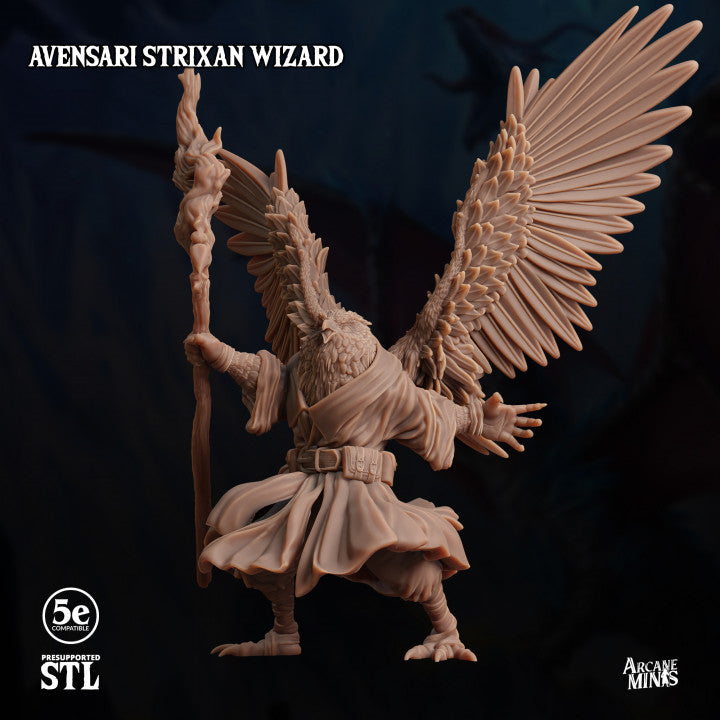 Birdfolk Wizard Spellcaster Miniature | Medium | Sordane Publishing | D&D DnD Pathfinder Miniature