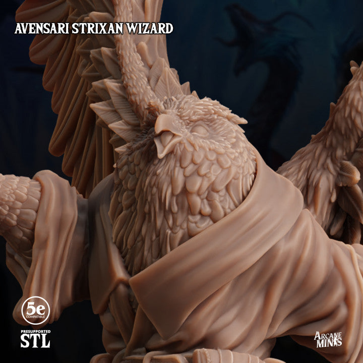 Birdfolk Wizard Spellcaster Miniature | Medium | Sordane Publishing | D&D DnD Pathfinder Miniature