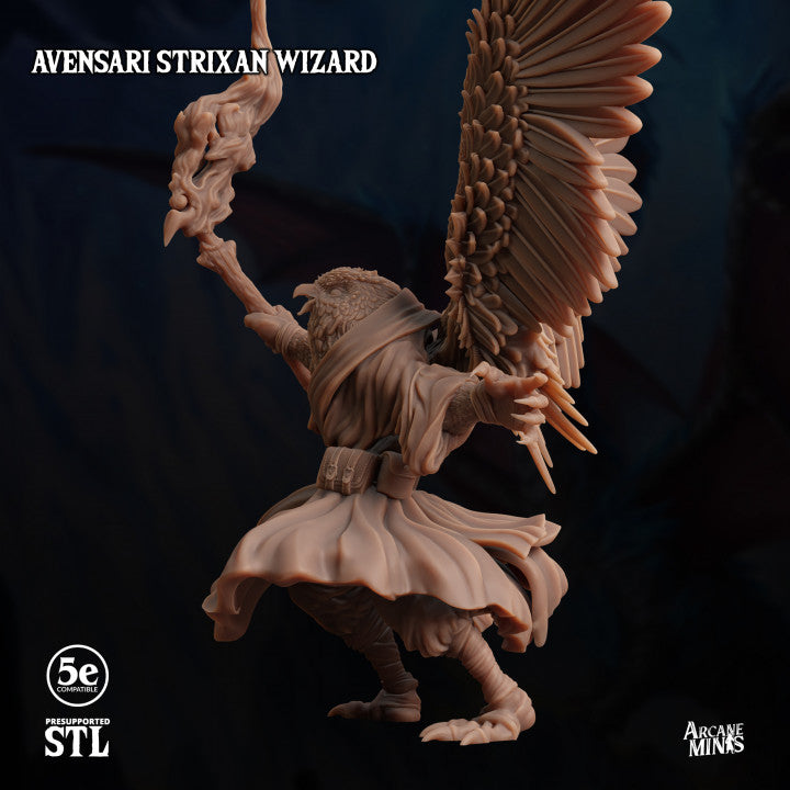 Birdfolk Wizard Spellcaster Miniature | Medium | Sordane Publishing | D&D DnD Pathfinder Miniature