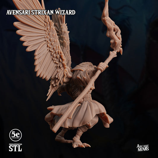 Birdfolk Wizard Spellcaster Miniature | Medium | Sordane Publishing | D&D DnD Pathfinder Miniature