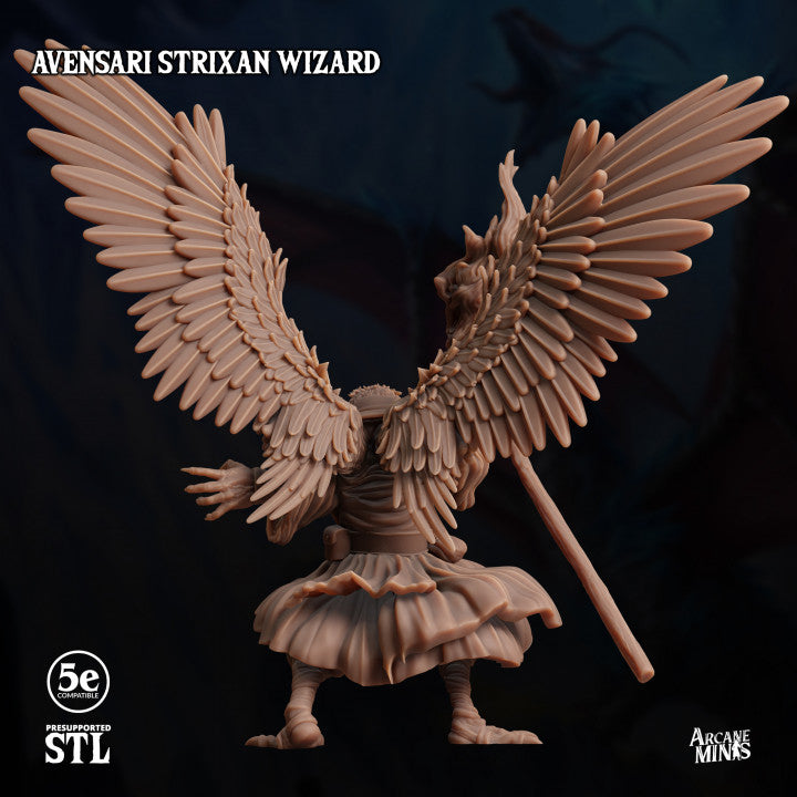 Birdfolk Wizard Spellcaster Miniature | Medium | Sordane Publishing | D&D DnD Pathfinder Miniature