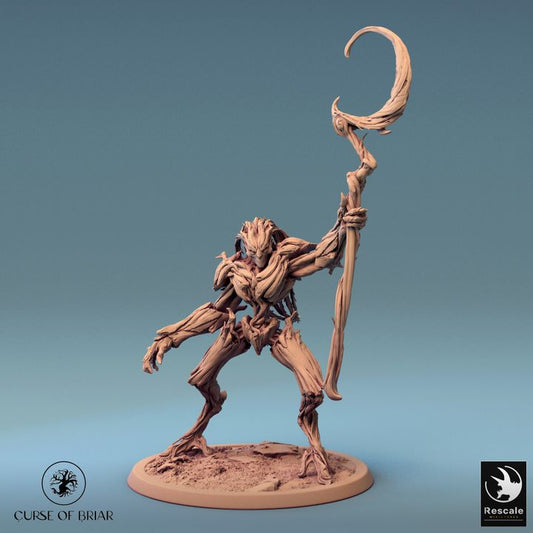 Collection Treefolk Barkclad Guardian Protector | Large | Rescale Miniatures | D&D DnD Pathfinder Miniature