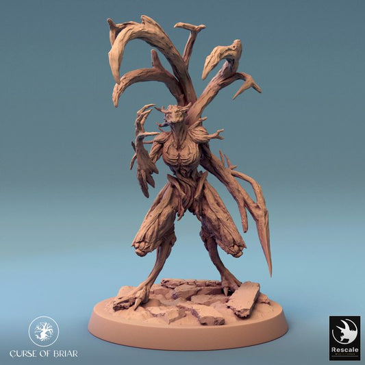Collection Wood Fey Guardian Miniature | Large | Rescale Miniatures | D&D DnD Pathfinder Miniature