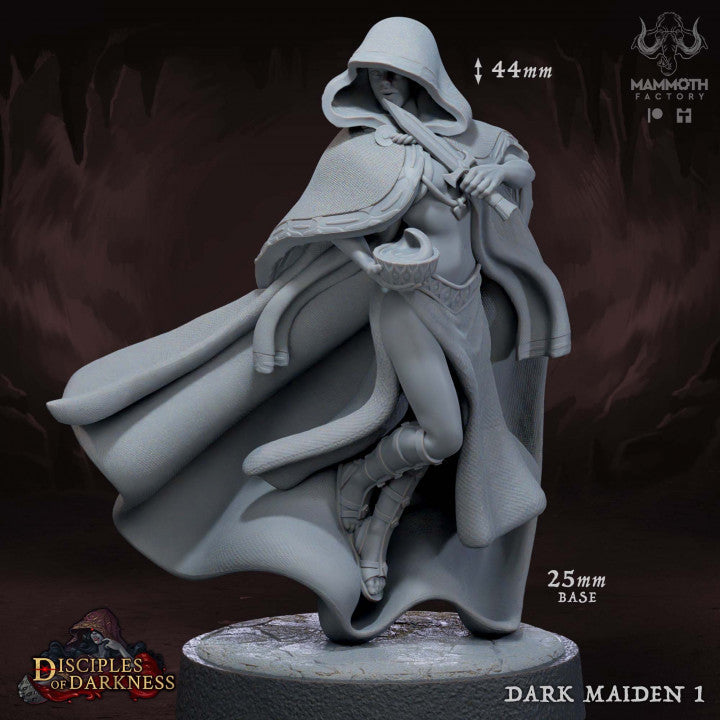 Dark Maidens Rogue Assassin Elf | Medium | Mammoth Factory | D&D DnD Pathfinder Miniature