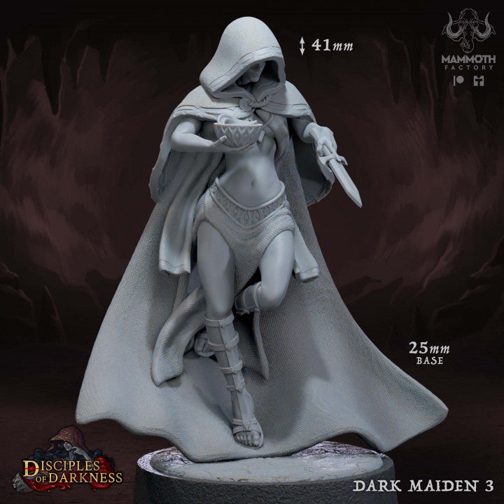 Dark Maidens Rogue Assassin Elf | Medium | Mammoth Factory | D&D DnD Pathfinder Miniature