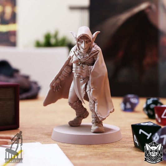 Goblin Assassin - Cloaked (25mm Base)