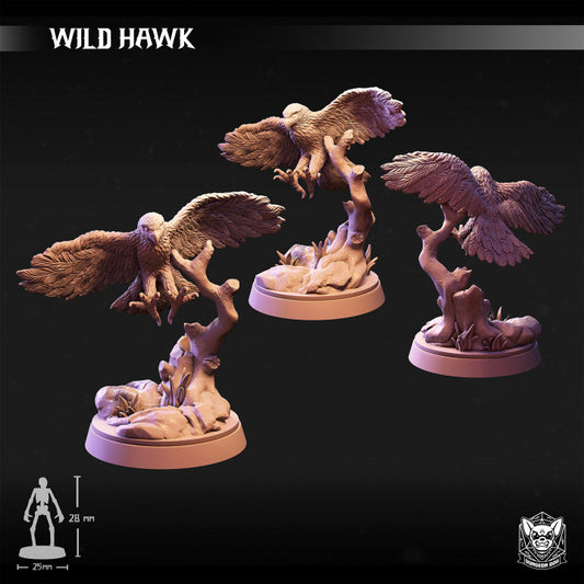 Wild Hawk - Soaring (25mm Base)