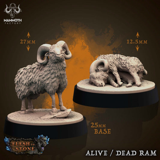 Ram Beast Pastoral Terrain | Medium | Mammoth Factory | D&D DnD Pathfinder Miniature