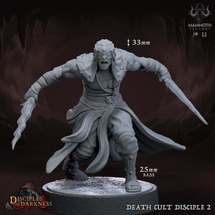 Death Cult Assassin Disciples Rogue | Medium | Mammoth Factory | D&D DnD Pathfinder Miniature