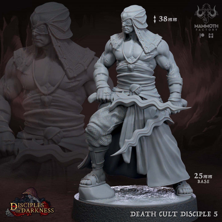Death Cult Assassin Disciples Rogue | Medium | Mammoth Factory | D&D DnD Pathfinder Miniature