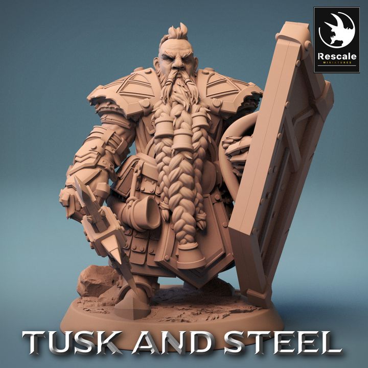 Collection Dwarf Fighter Axe Warrior | Medium | Rescale Miniatures | D&D DnD Pathfinder Miniature