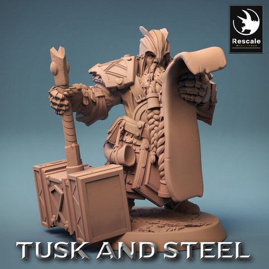 Collection Dwarf Warrior Hammer Guard | Medium | Rescale Miniatures | D&D DnD Pathfinder Miniature