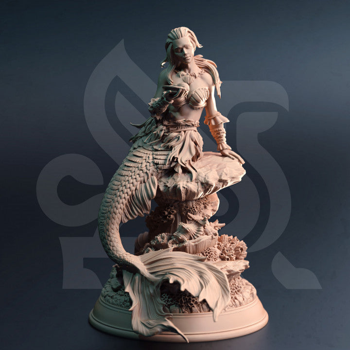 Deep Sea Siren Ocean Creature Monstrosity | Medium | DM Stash | D&D DnD Pathfinder Miniature