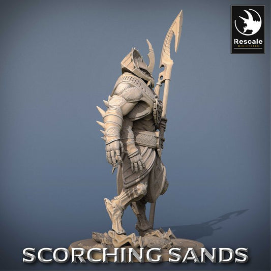 Desert Warrior Monstrosities Guard | Large | Rescale Miniatures | D&D DnD Pathfinder Miniature