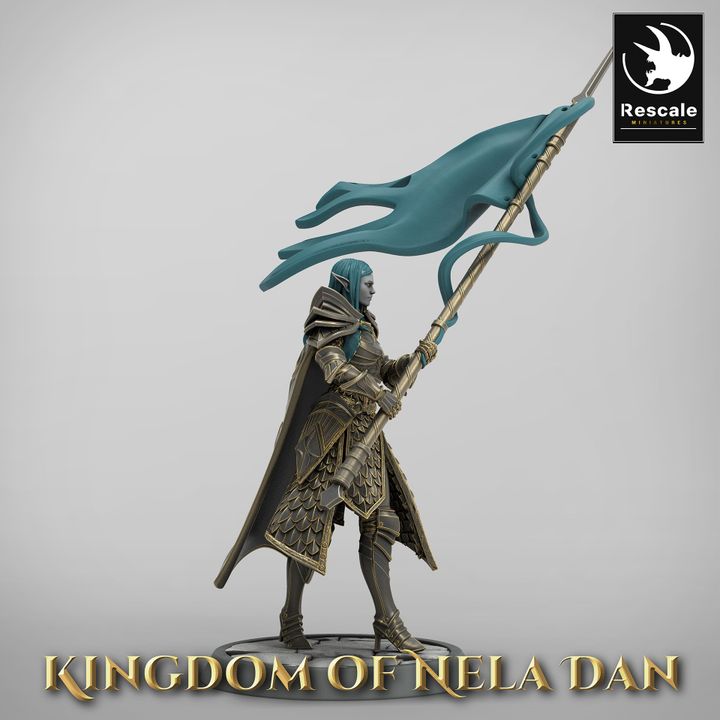 Collection Elf Warrior Light Support Heralds | Medium | Rescale Miniatures | D&D DnD Pathfinder Miniature