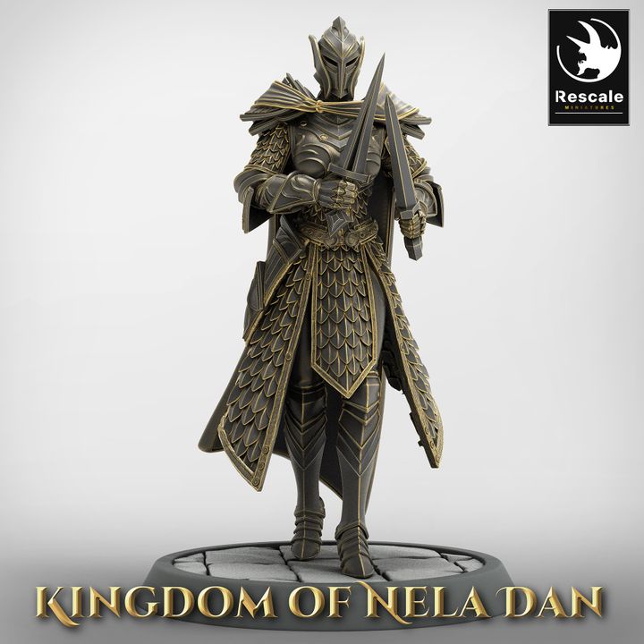 Collection Elven Infantry Warriors | Medium | Rescale Miniatures | D&D DnD Pathfinder Miniature