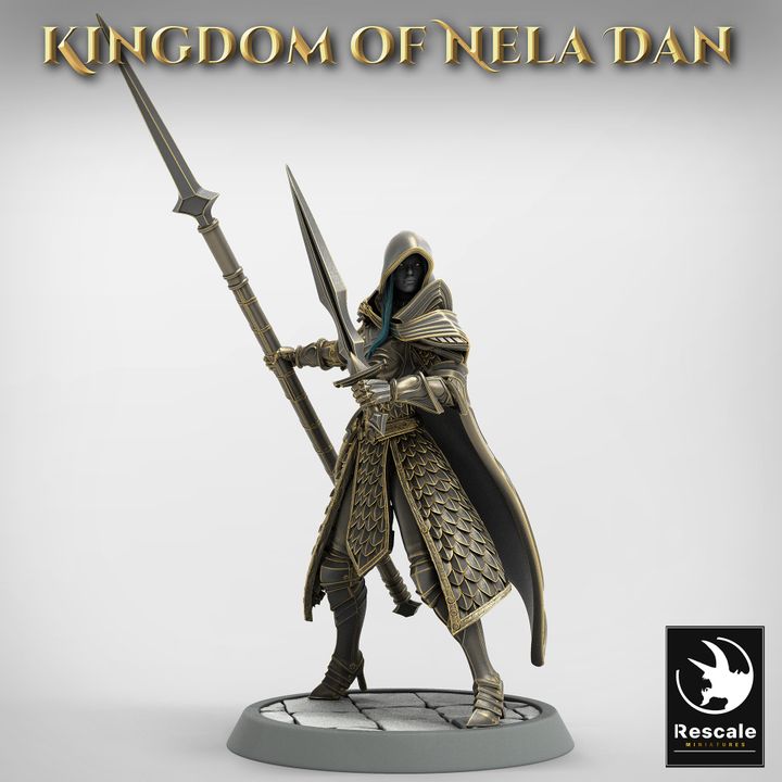 Collection Elven Infantry Warriors | Medium | Rescale Miniatures | D&D DnD Pathfinder Miniature