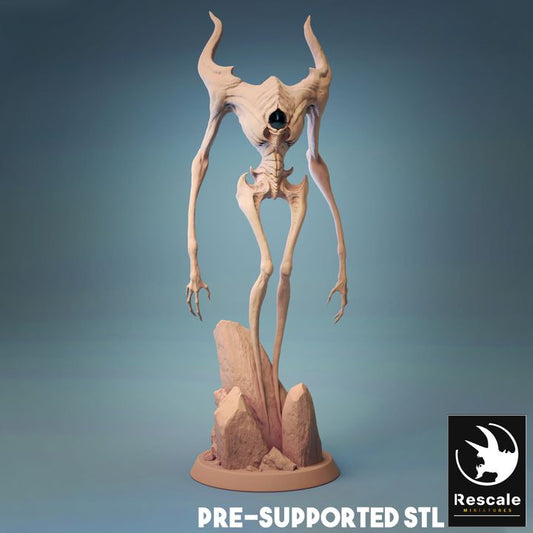 Ghost Ethereal Undead Monster | Large | Rescale Miniatures | D&D DnD Pathfinder Miniature