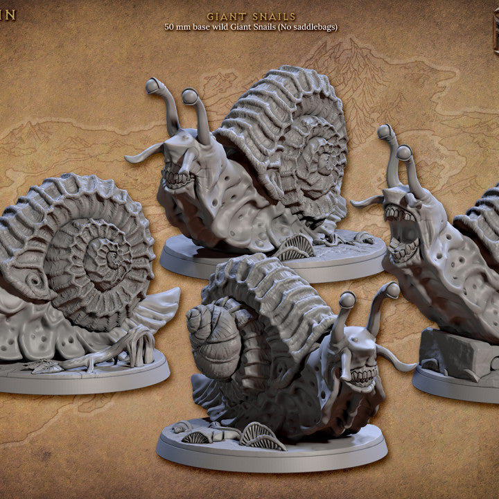 Giant Snail Rider Mount Tortle Monstrosities | Large | Artisan Guild | D&D DnD Pathfinder Miniature