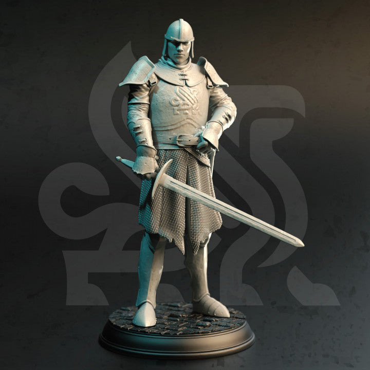 Golden Griffin Fighter Humanoid Sword | Medium | DM Stash | D&D DnD Pathfinder Miniature