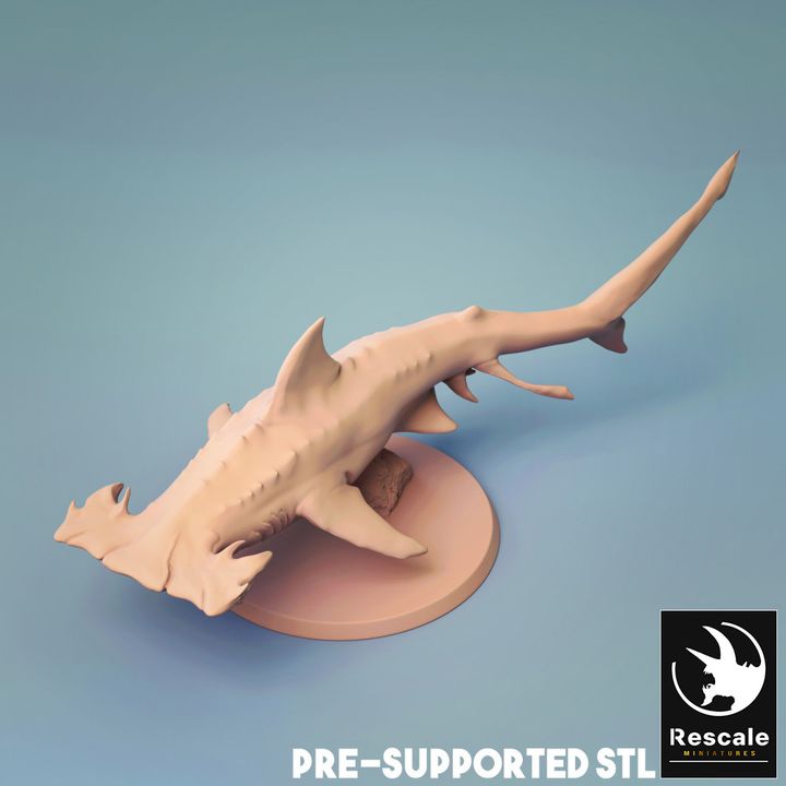 Requin-marteau - Nage (base 25 mm)