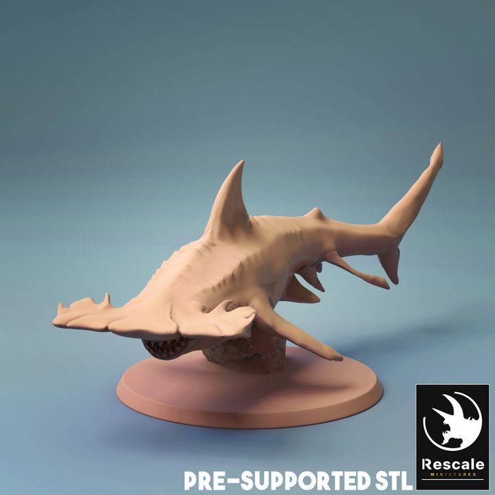 Requin-marteau - Nage (base 25 mm)