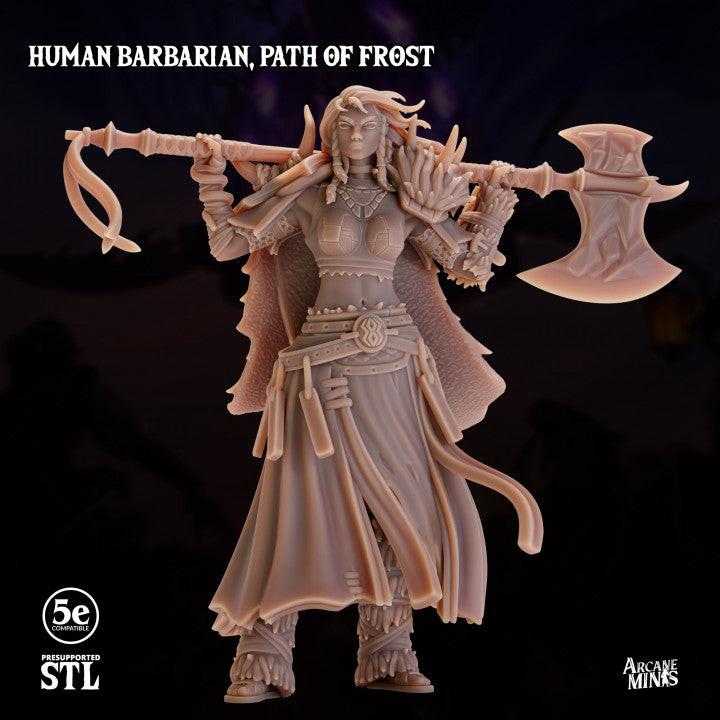 Human Barbarian Frost Path Warrior | Medium | Sordane Publishing | D&D DnD Pathfinder Miniature