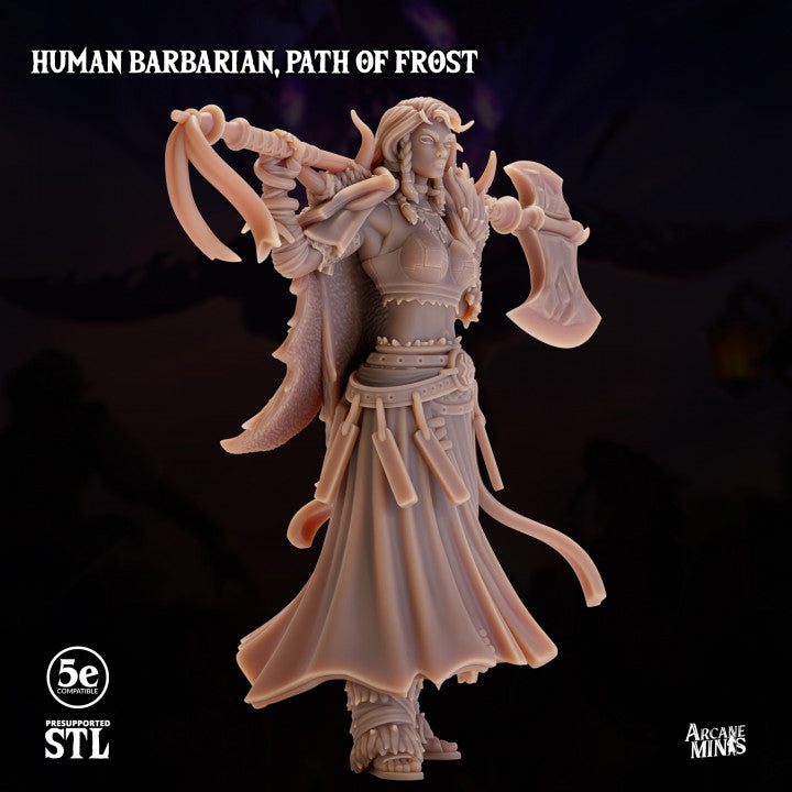 Human Barbarian Frost Path Warrior | Medium | Sordane Publishing | D&D DnD Pathfinder Miniature