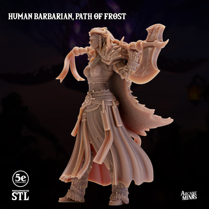 Human Barbarian Frost Path Warrior | Medium | Sordane Publishing | D&D DnD Pathfinder Miniature