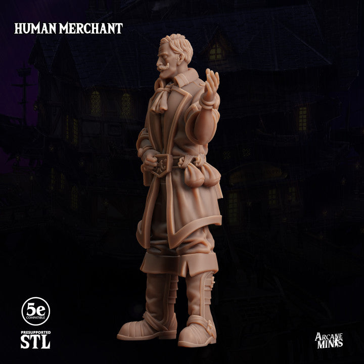 Human Negotiator Merchant Miniature | Medium | Sordane Publishing | D&D DnD Pathfinder Miniature