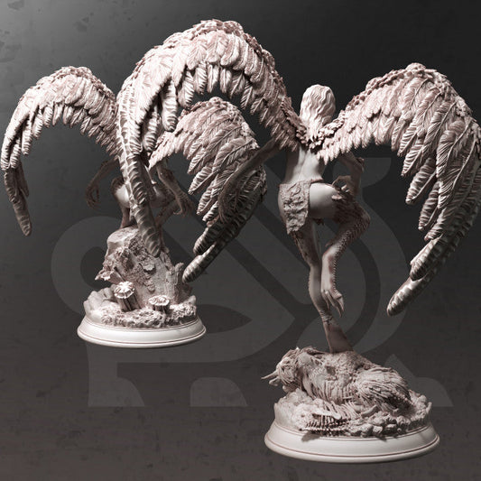 Harpy Monster Miniature (Medium) | DM Stash | Painting DnD Tabletop Miniature Pathfinder 5e