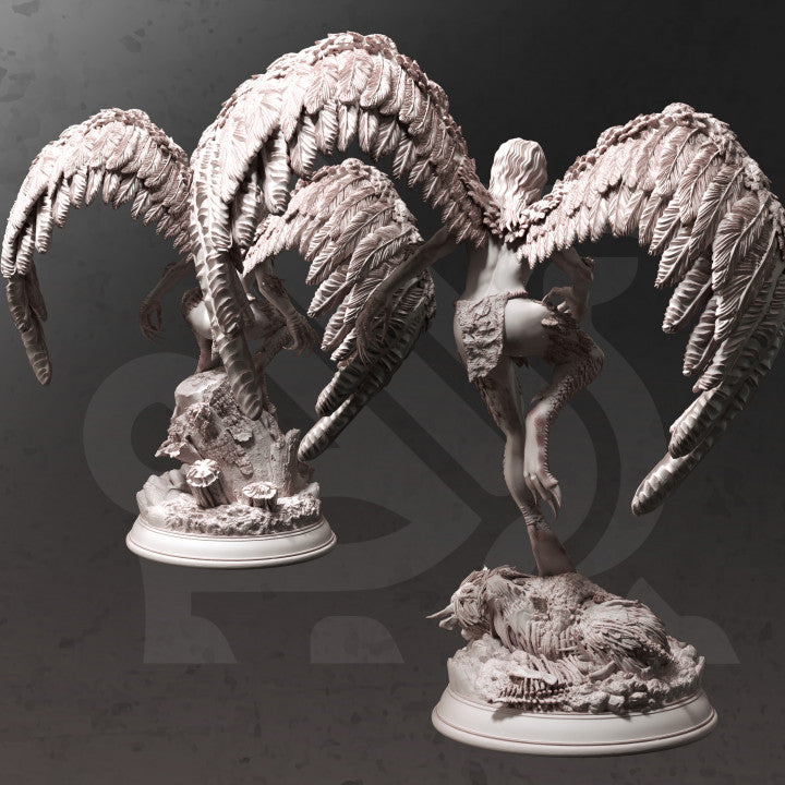 Hill Harpy Monster Miniature | Medium | DM Stash | D&D DnD Pathfinder Miniature