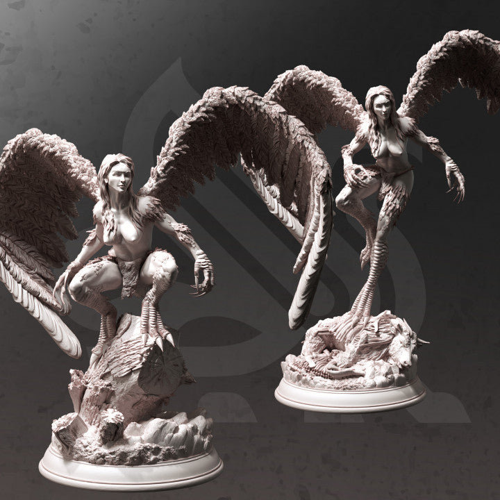 Hill Harpy Monster Miniature | Medium | DM Stash | D&D DnD Pathfinder Miniature