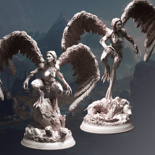 Harpy Monster Miniature (Medium) | DM Stash | Painting DnD Tabletop Miniature Pathfinder 5e